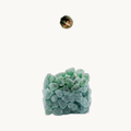Eukalyptus Gummi (200 Gramm)