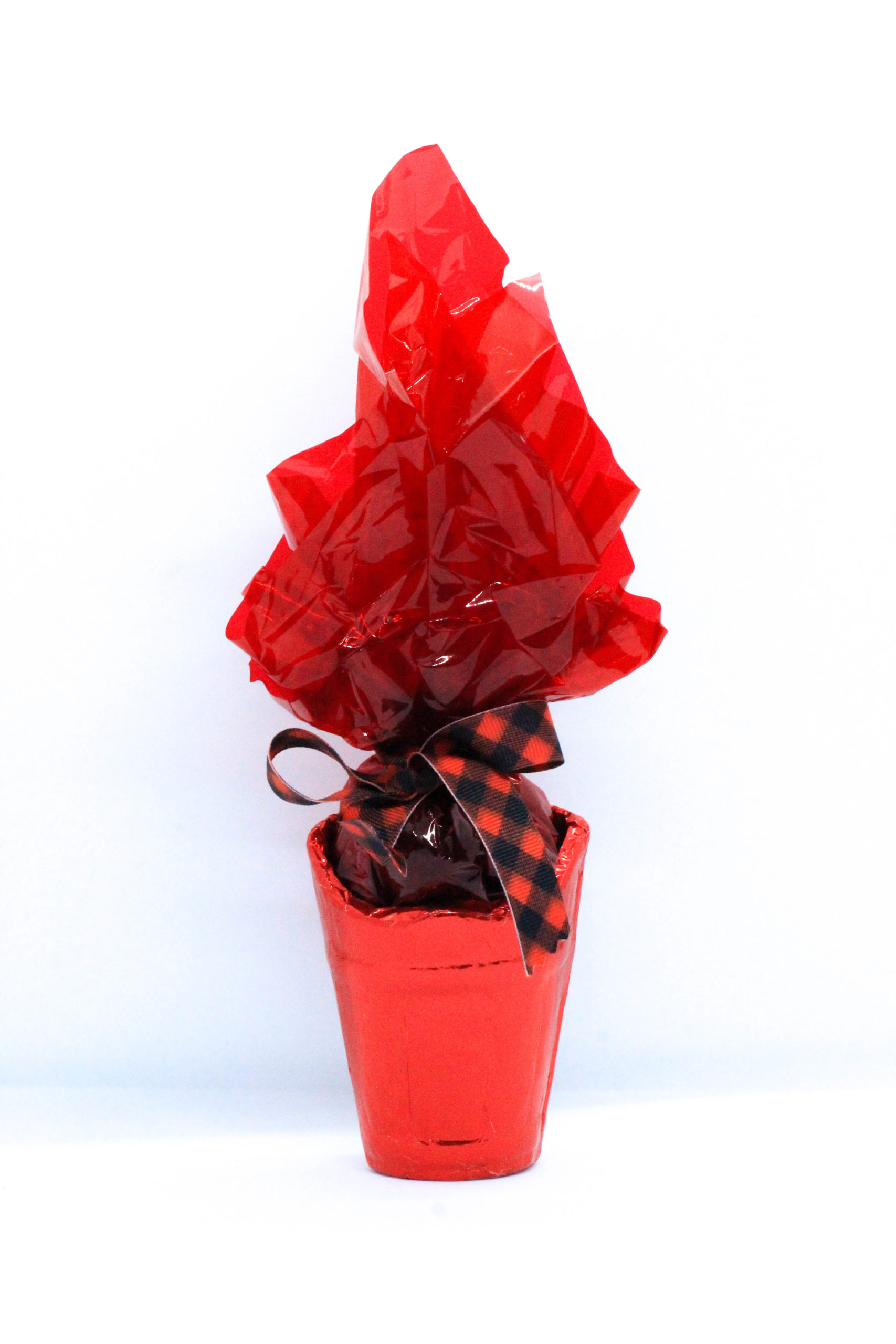butte_rot_mittel_10dag_c_bonbons_anzinger_c_2020_schokolade_anzinger
